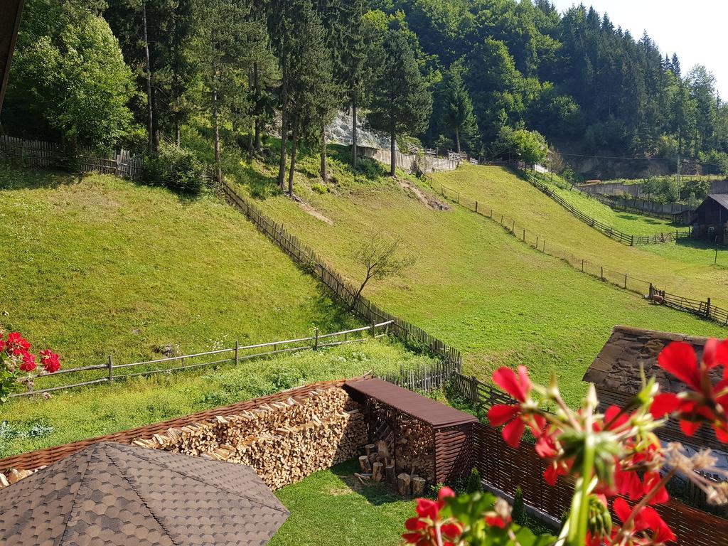 Villa Casa Teodor Rucăr Exterior foto